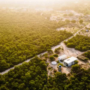 No Dia da Caatinga, ação de preservação reduz emissão de gases de efeito estufa no Semiárido baiano