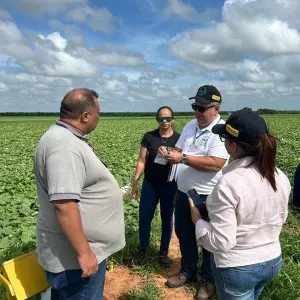 Defesas agropecuárias da Bahia e Rio Grande do Norte se unem para combater a “Mosca-das-Frutas”