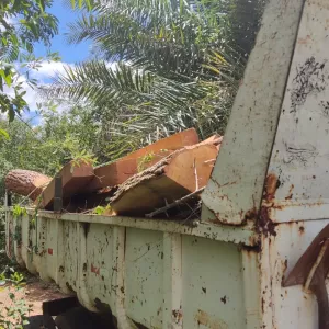 Operação do Inema coíbe desmatamento em área de Mata Atlântica