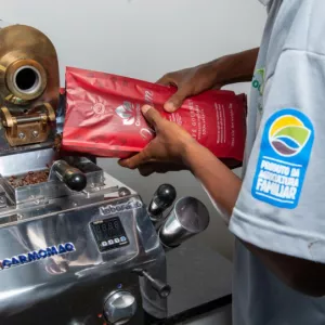 Produção sustentável agrega valor ao café da agricultura familiar baiana