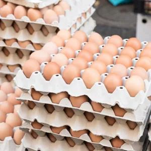 Cesta Básica de Salvador sobe 3,98% em março e encerra primeiro trimestre de 2025 com alta acumulada de 7,09%