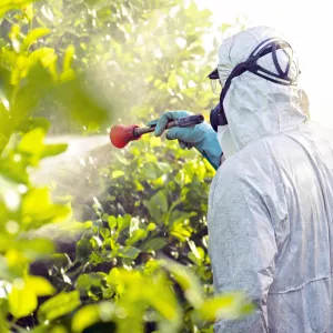 Recebimento itinerante de embalagens de agrotóxicos tem apoio da Adab