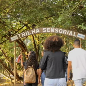 Formulário de adesão ao Agente Jovem Ambiental está disponível para Escolas