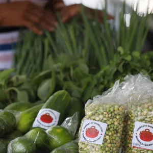  Do campo para a tela: Seagri oferece serviço de cotações agrícolas nas redes sociais