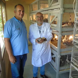 Projeto da Uesb fortalece a produção de aves na Bahia com raças nativas