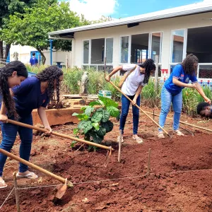 Farmácia Verde transforma escola e comunidade com saberes ancestrais e cuidados com a saúde