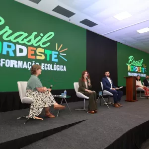 Nordeste deve liderar a transição ecológica no País