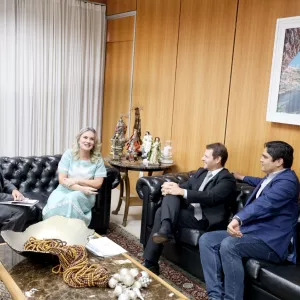 Equilíbrio fiscal e inclusão social marcam projeto estadual da LDO 2026, encaminhado à Alba