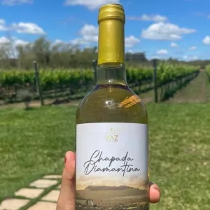 Rota do Vinho da Chapada Diamantina