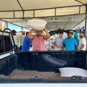 Milho chega a Remanso e garante alimento para os rebanhos