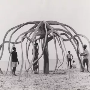 A Flor do mangue, 1970