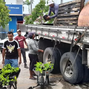 Entregas de insumos para a produção fortalecem a agricultura familiar de municípios do Semiárido Nordeste II