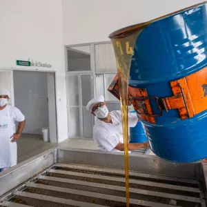 Novos equipamentos garantem renda para apicultores baianos