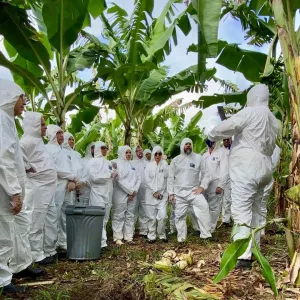 Adab prepara equipes para atuar em emergências fitossanitárias