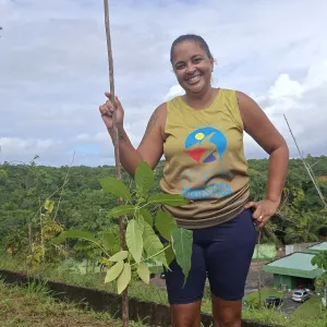 Ação Plantio de Mudas resulta em mais 20 novas árvores no Estádio de Pituaçu
