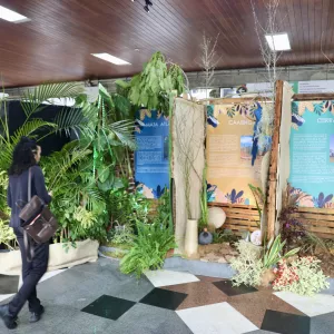 Exposição na Biblioteca Central destaca os biomas da Bahia