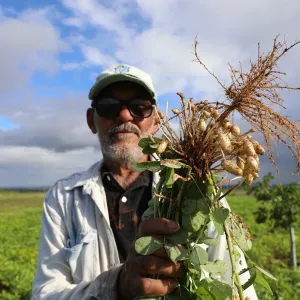 Chegada do São João aquece as vendas e fortalece quem vive da agricultura familiar