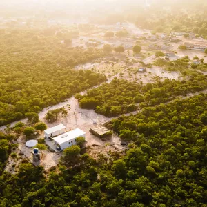 Bahia celebra o Dia Mundial do Meio Ambiente com avanços em sustentabilidade, conservação e geração de renda