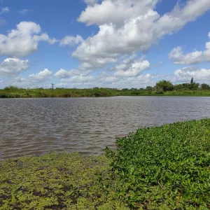 Estudantes de Santa Bárbara realizam projeto