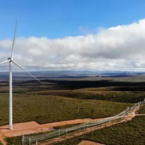 Dia Mundial dos Ventos: Bahia celebra a data como referência nacional em energia eólica