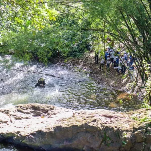 Educação ambiental marca celebração do Dia Mundial do Meio Ambiente no Parque São Bartolomeu