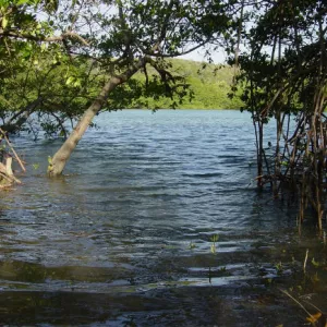 Univerciência estreia nova temporada neste sábado