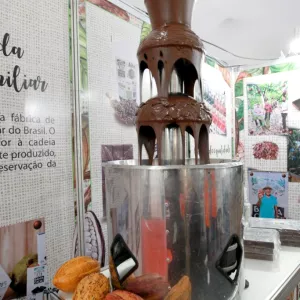 Chocolate da Bahia: Produção de excelência que conquistou o mundo