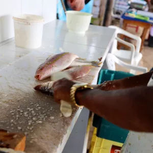 Construção de centro de comercialização de pescado em Valença é autorizado pelo Governo do Estado, com investimentos de mais de R$2 milhões