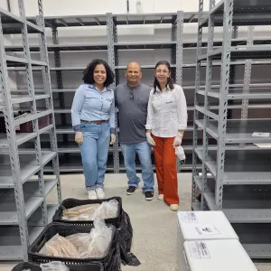 Descoberta arqueológica