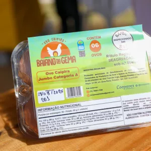 Cooperativa de Pintadas lança marca de ovos caipiras certificados da agricultura familiar 