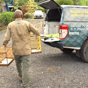 Igaporã recebe campanha do Inema para entrega voluntária de animais silvestres