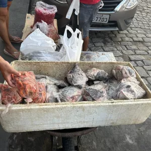 Estudo da Uesb aponta riscos de tilápias vendidas em feiras de Itapetinga