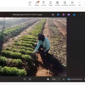 Estratégias para implantação de hortas comunitárias em 100 municípios baianos são debatidas em reunião virtual