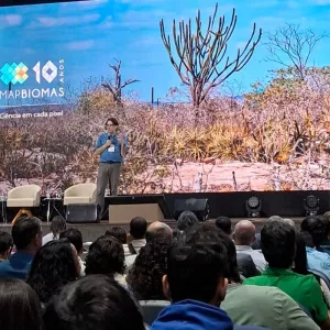 Inema passa a usar nova base de dados do MapBiomas para monitoramento e fiscalização ambiental