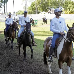  Exporural 2025 reforça papel estratégico da Bahia no setor agropecuário do Nordeste