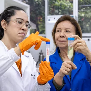 Jogo para regular o sono, óleo de tilápia, línguas indígenas e caatinga no Univerciência