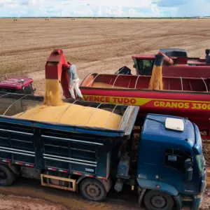 Estimativas positivas para a safra de grãos na Bahia refletem recorde de produção em soja e algodão
