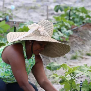 Viva Horta fortalece produção de alimentos saudáveis em comunidades rurais de Camaçari