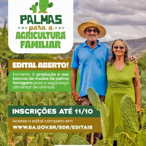 Governo do Estado lança chamada pública para  produção e distribuição de mudas de palma forrageira