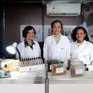 Expofeira