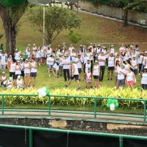 Sesab promove Caminhada de Incentivo à Doação de Órgãos em Salvador neste domingo (28)