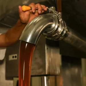 Unidade de beneficiamento de produtos de abelhas eleva produção de méis do Semiárido Baiano