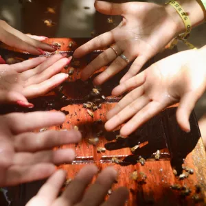 Inscrições abertas para o 4º Encontro Franco-Brasileiro de Turismo Sustentável em Salvador