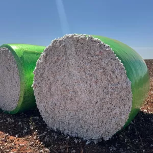 ADAB prorroga início do vazio sanitário em regiões produtoras de algodão, em decorrência de atraso na colheita