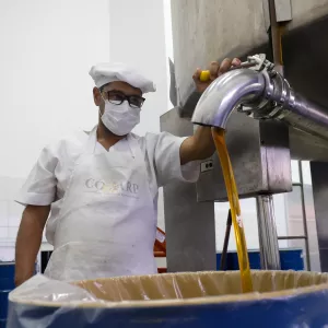 Mel produzido pela agricultura familiar fortalece a alimentação escolar no Semiárido Baiano