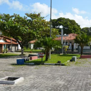 Primeira edição da Expoagro Canavieiras destaca produção agropecuária da região