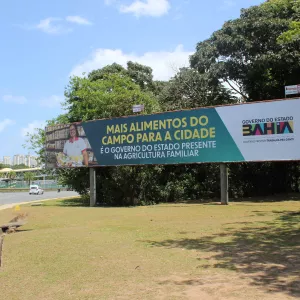 Qual é a boa da Bahia?