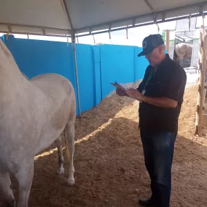 Adab intensifica fiscalização em parques de vaquejada