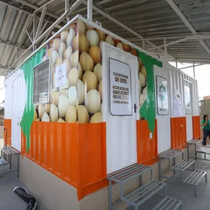 Agricultura familiar da Bahia ganha primeira unidade de classificação de ovos em container