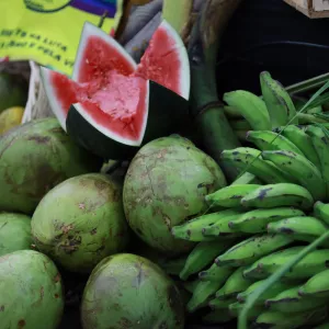 Segurança alimentar e nutricional